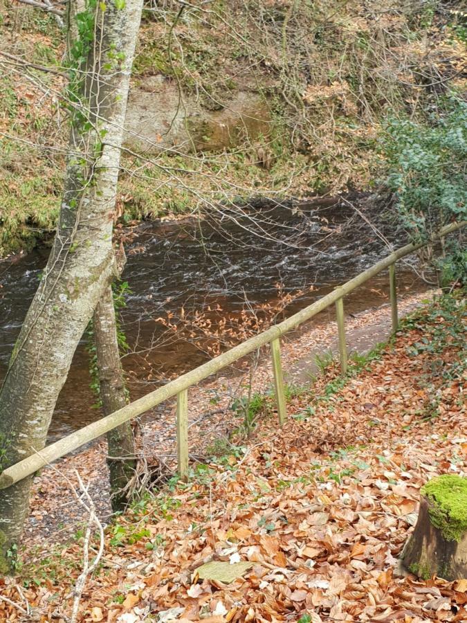 The Millers Cottage Okehampton Dış mekan fotoğraf