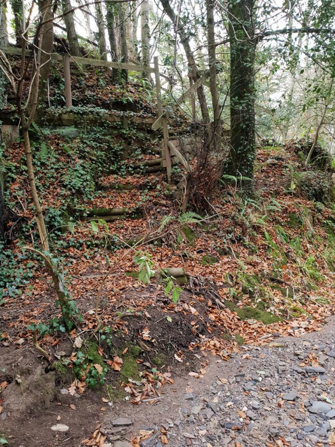 The Millers Cottage Okehampton Dış mekan fotoğraf